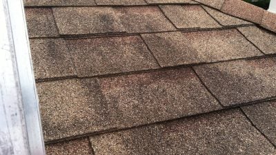 Exterior mold and mildew treatment in the North Georgia mountains