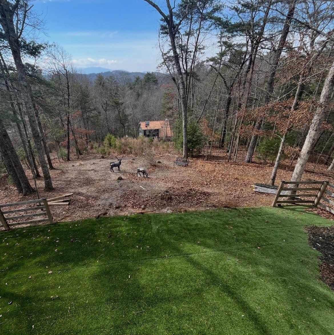 Fresh turf edge in the backyard of a North Georgia mountain cabin