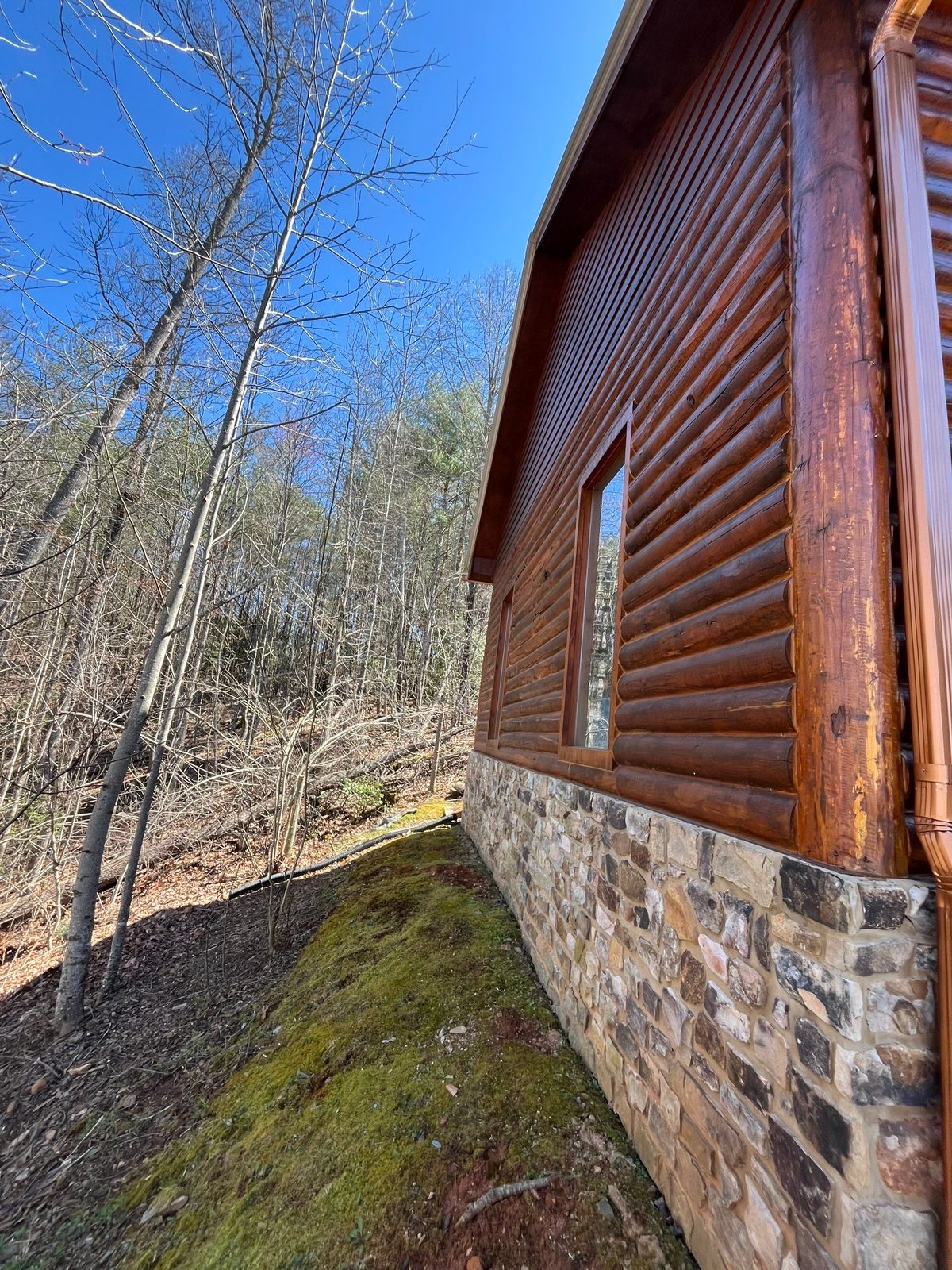 Mold and mildew treatment on log siding near Blairsville, GA